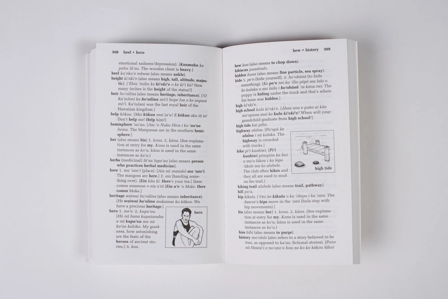 Illustrated Hawaiian Dictionary - Image 3