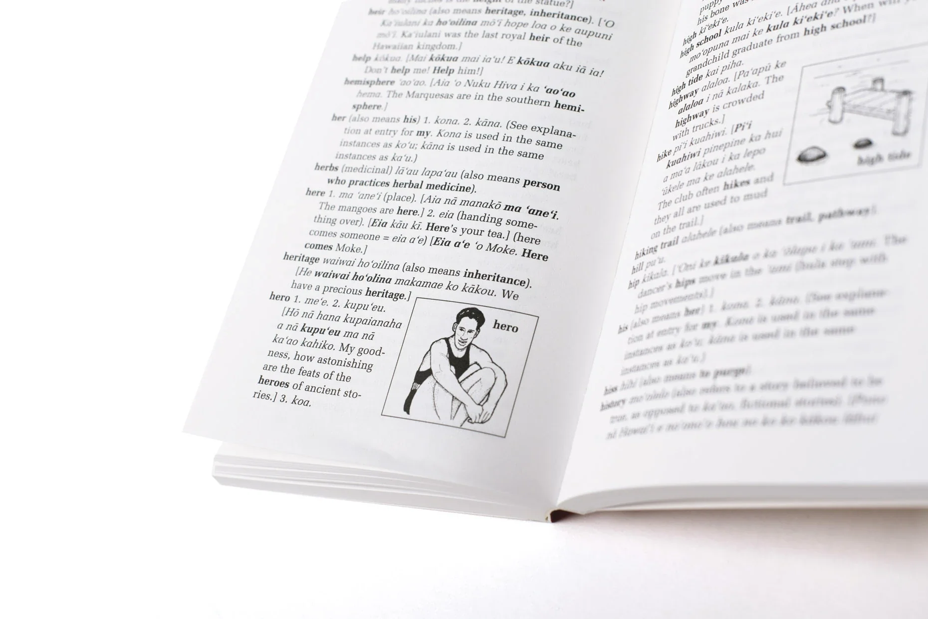 Illustrated Hawaiian Dictionary - Image 4