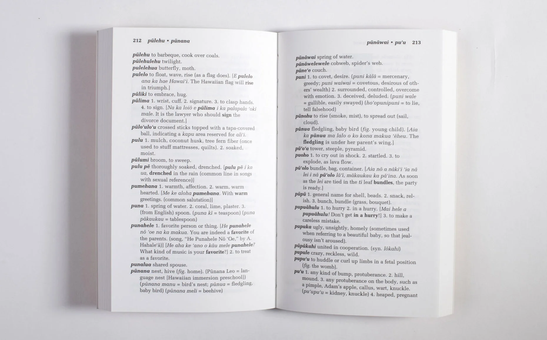 Illustrated Hawaiian Dictionary - Image 5